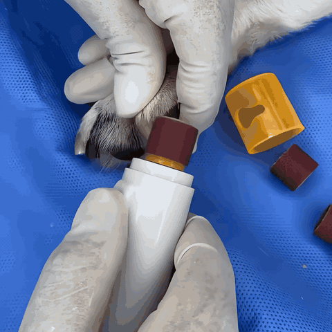 Pilnik do pazurów PawsCare w akcji – szlifowanie pazura psa